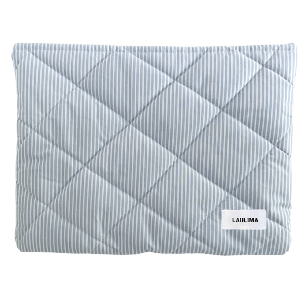 Light Blue Striped Laptop Case